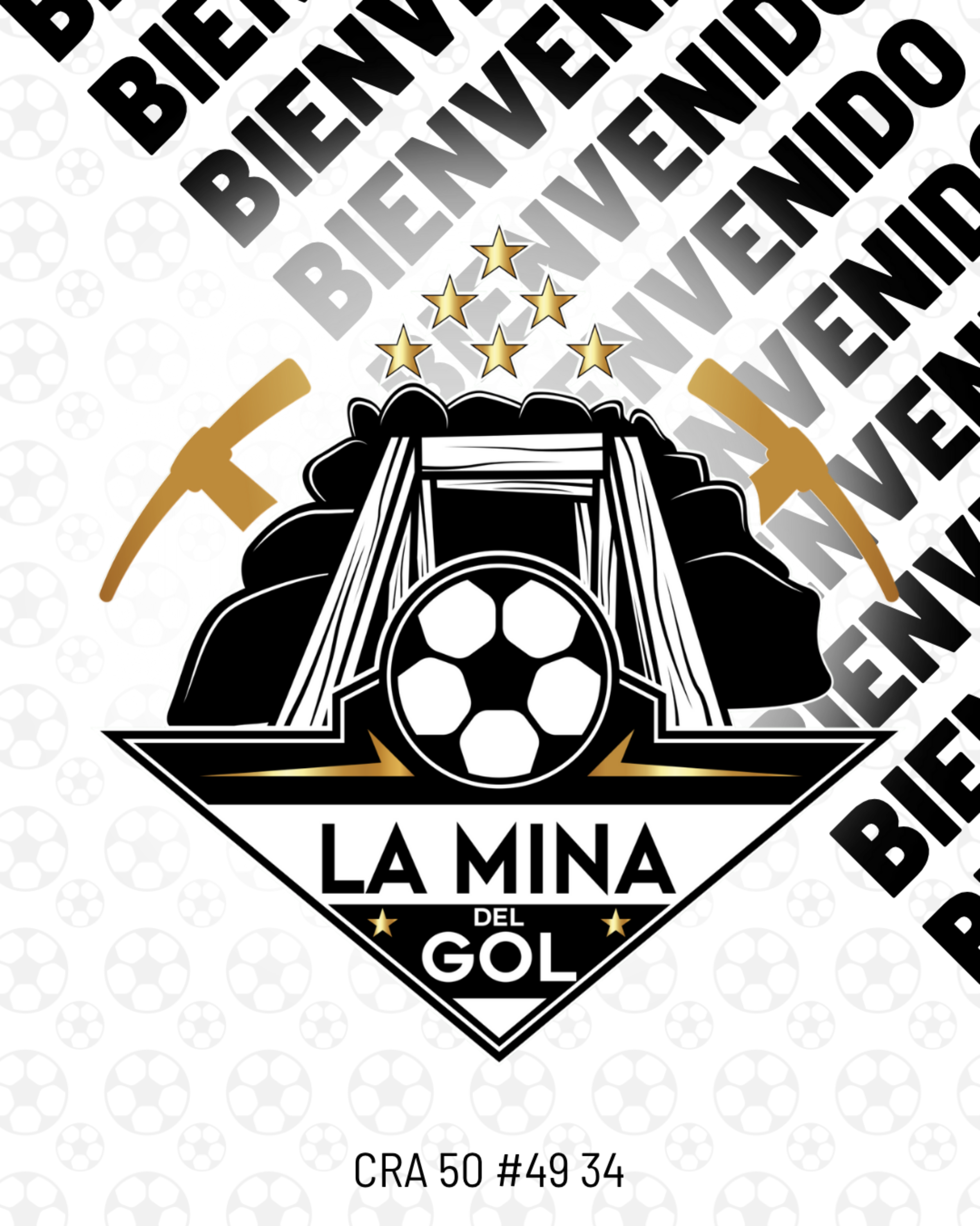 Proyecto 3